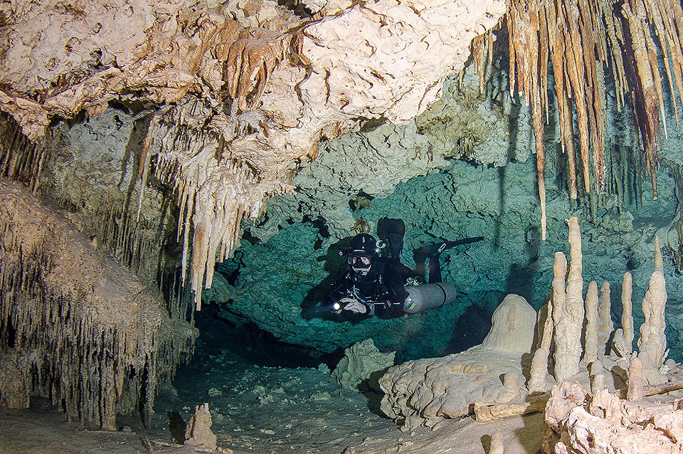 Pro Dive at Occidental Grand Cozumel