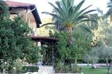Lefkada - Villa Angela, Palmen im Garten
