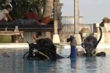 Bali - Lotus Bungalows, Gangga Divers, Pooltraining