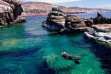 Baja California - The Cortez Club - Tauchen mit Seeloewen