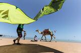 El Gouna, Kite-People, Strand mit Kite und Kamel