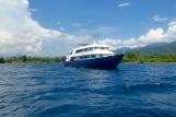 Maluku Explorer