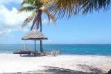 Mafia Island Lodge , Strand
