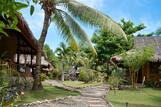 Bohol - Oasis Resort, Garten Bungalow