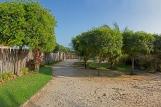 Macapa - Vila Bella, schattenspendende Gartenanlage