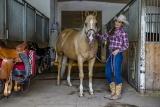 Ampflwang - Aldiana, Westernreiten