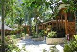 Cebu - Moalboal - Magic Island Dive Resort - Cottages
