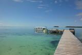 Carp Island - Jetty