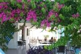 Theologos - Nirvana Beach, Terrasse