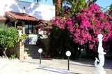 Kreta - Hotel Marina Village, Eingang