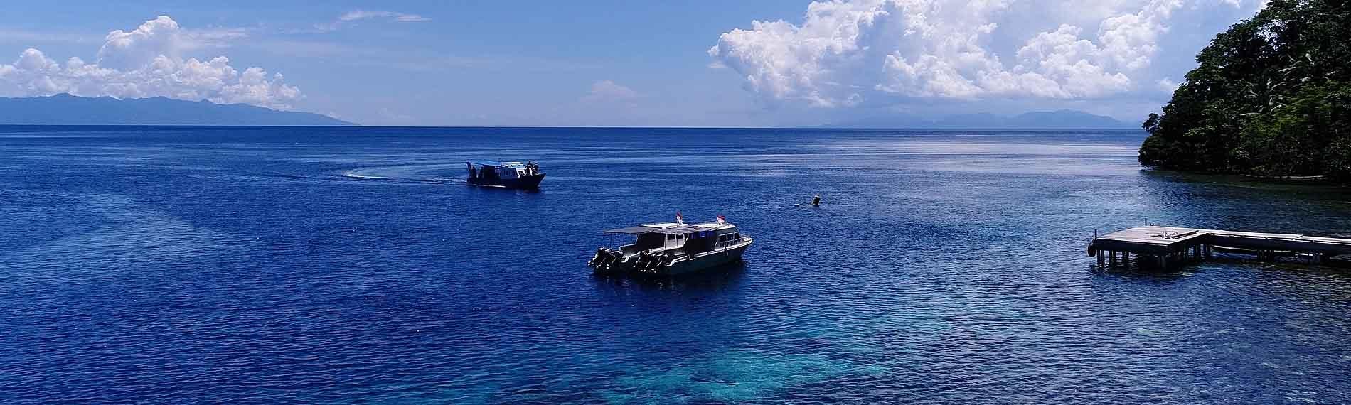 © Sali Bay