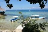 Cebu - Dolphin House, Dive College, Jetty