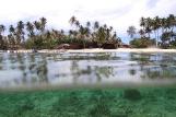 Kalimantan - Derawan Dive Lodge