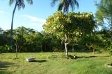 Icaraizinho - Casa Zulu, Garten