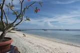 Lombok - Villa Almarik, Strand