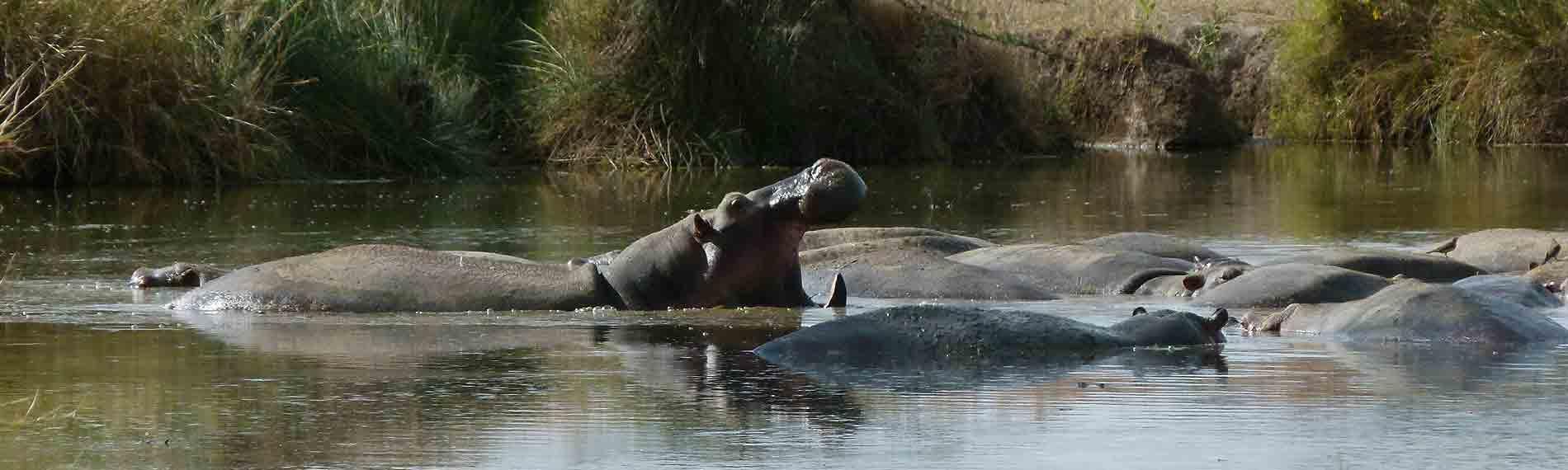 © Africa Safari Experts
