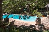 Bohol - Seaquest Dive Center, Taucher im Pool