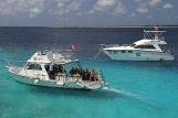Bonaire - Buddy Dive Center, Boote