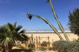 Dakhla - Ocean Vagabond, Blick Kitestrand