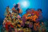 Bali KarangDivers Unterwasser