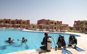 Orca Dive Club Tulip - Pooltraining
