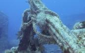 Unterwasserwelt El Gouna © ORCA Dive Club