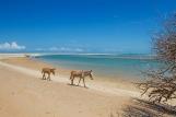 Macapa - Vila Bella, Natur pur