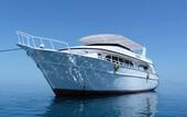 Marsa Alam - Orca Dive Club Tulip, 2020 (1)