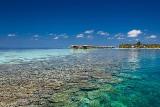Ari-Atoll - Vilamendhoo, Blick auf die Insel