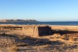 Dakhla Süd - Heliophora, Strand mit Materiallagerung