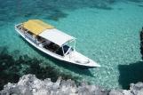 Sulawesi - Mangga Lodge - Tauchboot