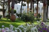 Kos - Marmari - Palladium, Garten