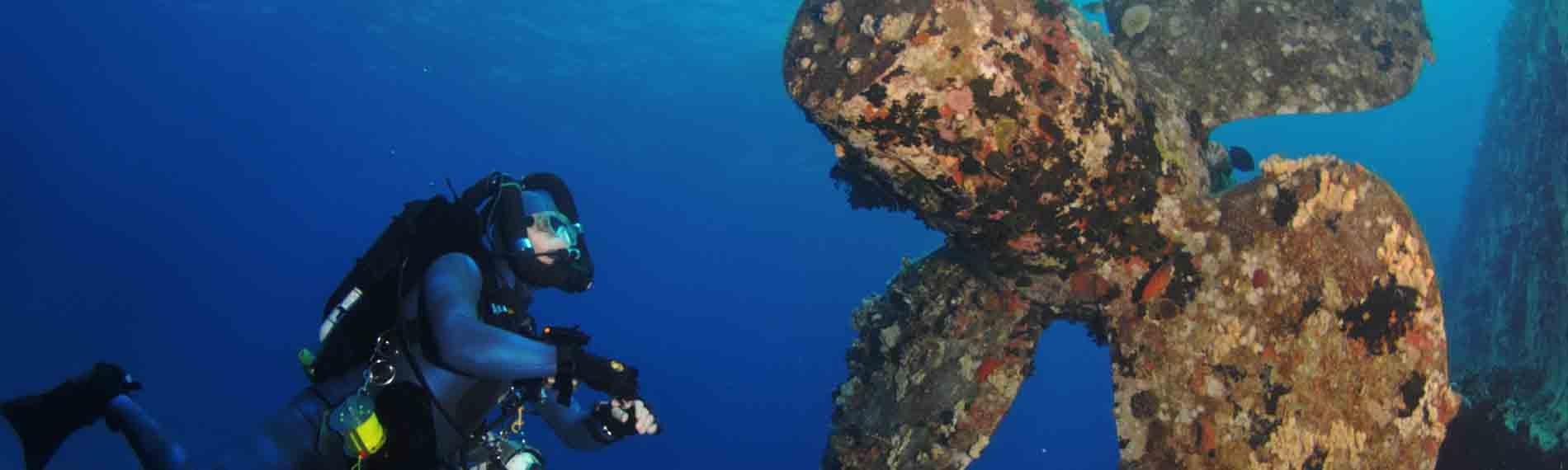 © Orca Dive Club