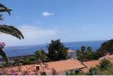 Madeira Appartement