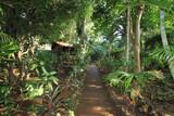 Mango Inn - tropischer Garten