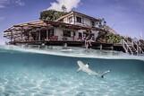 West Papua -  Misool Eco resort (2)